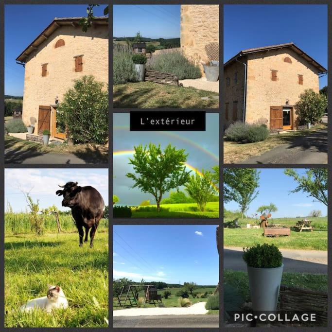 « Le Vieux Hangar » Gite A La Ferme Truffe Exterior foto