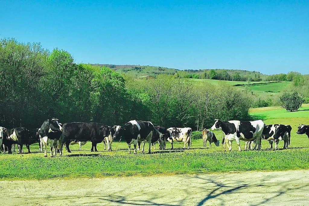 « Le Vieux Hangar » Gite A La Ferme Truffe Exterior foto
